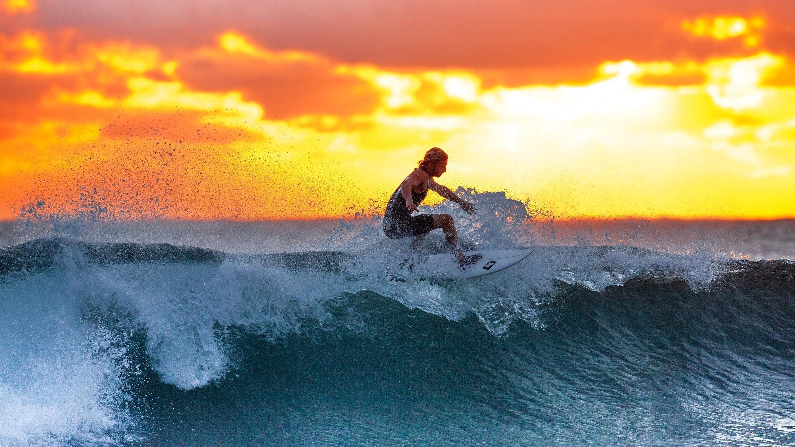 年终总决赛横扫澳网，兹维列夫惊艳四座，重塑网坛格局